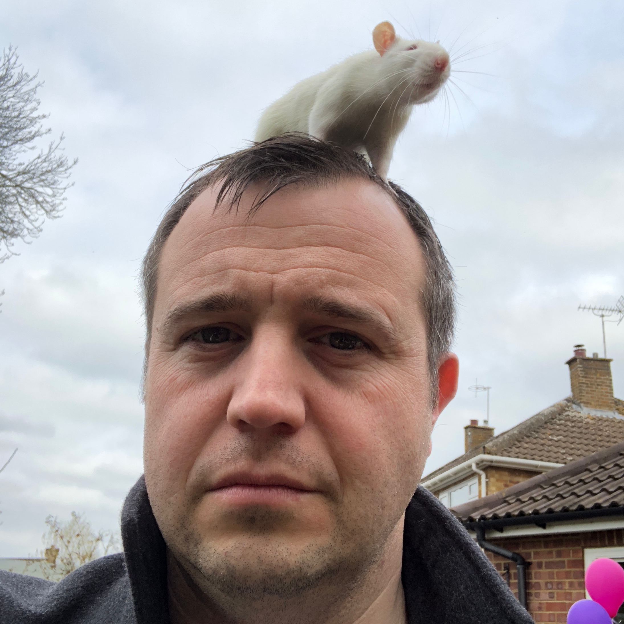 Blog Remote Working